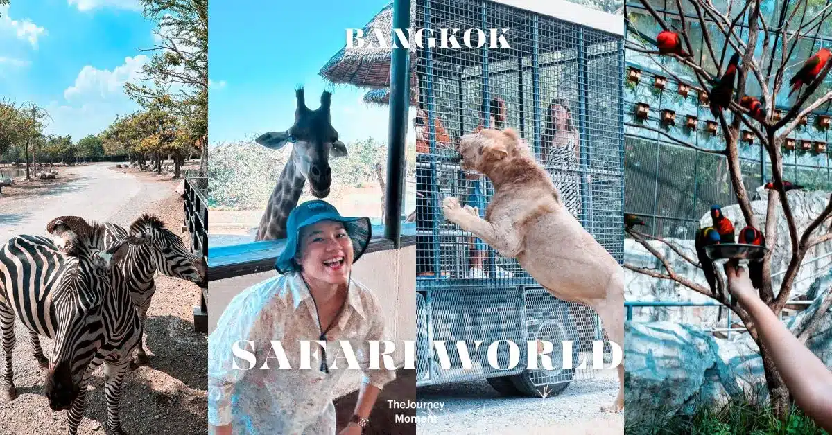 safari-world-ราคาบัตร