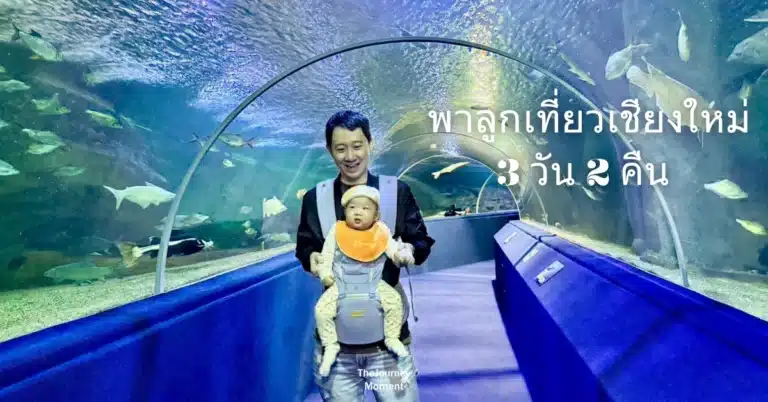 เชียงใหม่ ที่เที่ยวเด็กเล็ก ครอบครัว